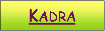 Pole tekstowe: Kadra