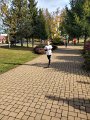bieg2019033