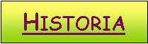 Pole tekstowe: Historia