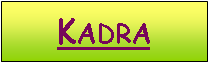 Pole tekstowe: Kadra