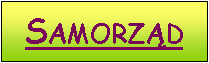 Pole tekstowe: Samorzd
